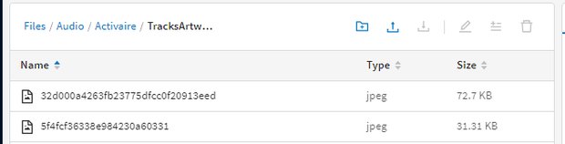 Tracks_<suffix> folder filling with downloaded .m4a song files.