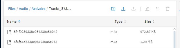 TracksArtworks_<suffix> folder filling with downloaded .jpeg artwork files.